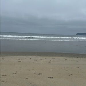 Meet your Posher, Autumn